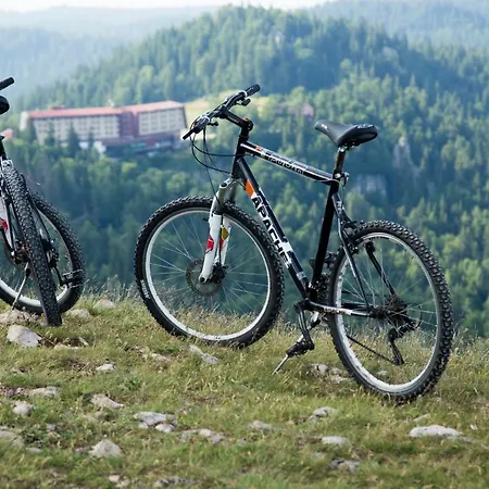 Отель Bistrica Пале