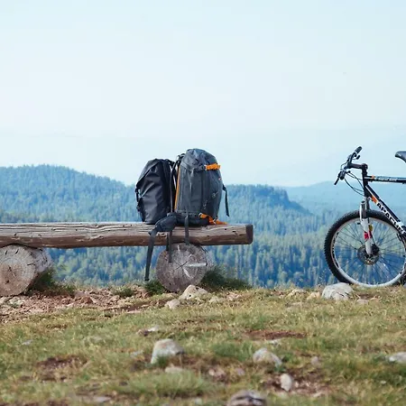 Bistrica Отель Пале