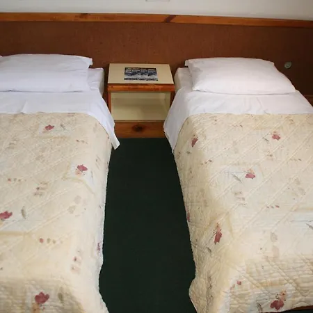 Hotel Bistrica 3*